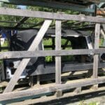 2018 Volvo VN Hood *NEUF*