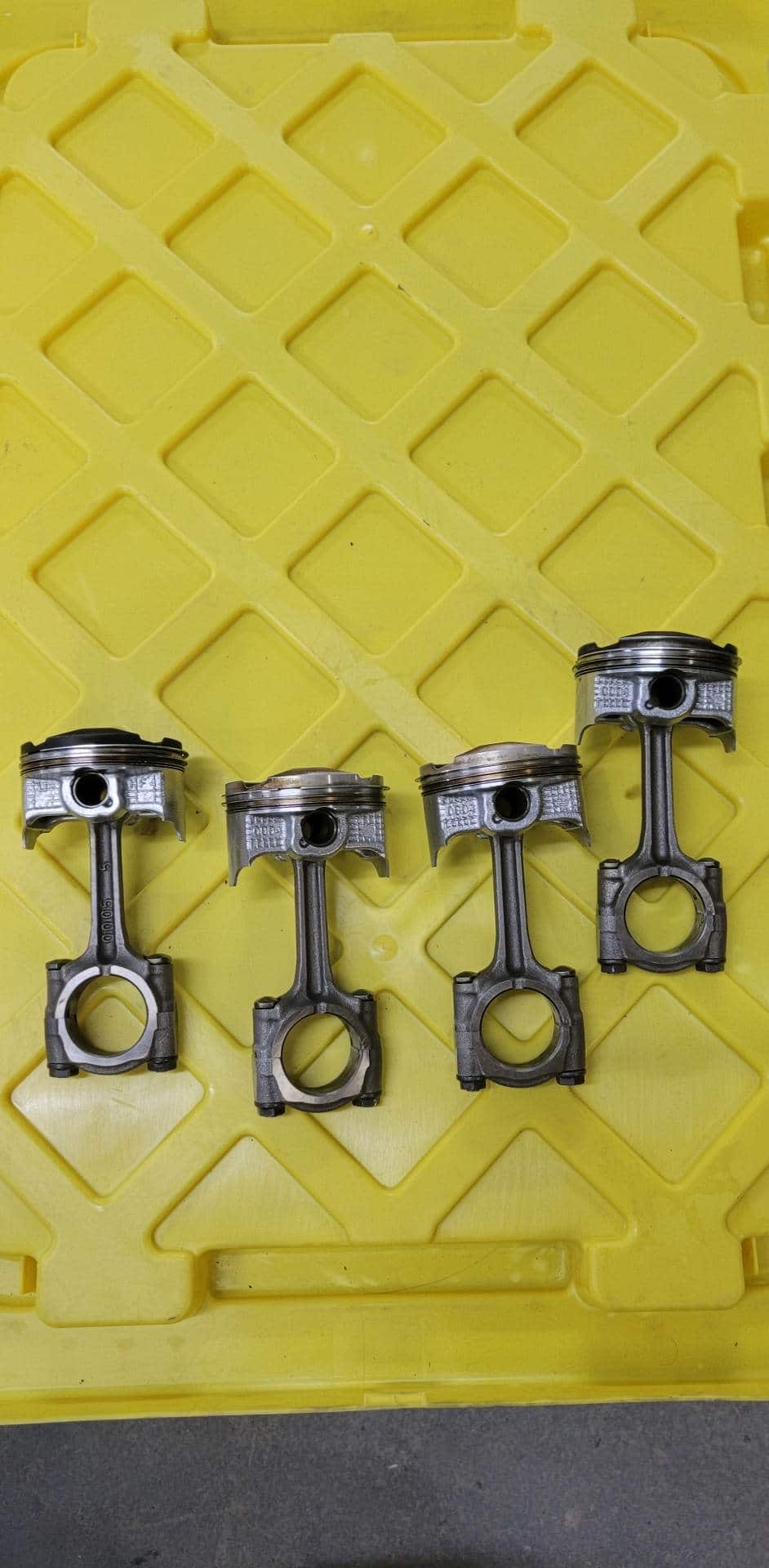 341545061_734287505054634_6649885068088121483_n